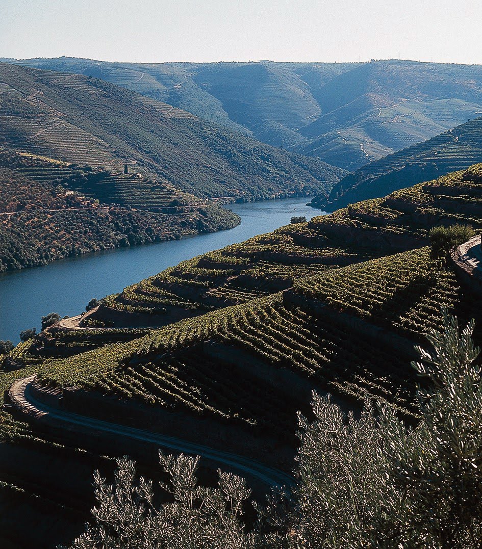 Rios e Locais de Portugal 9ºF Alguns rios portugueses Rios e Locais de Portugal 9ºF Alguns rios portugueses